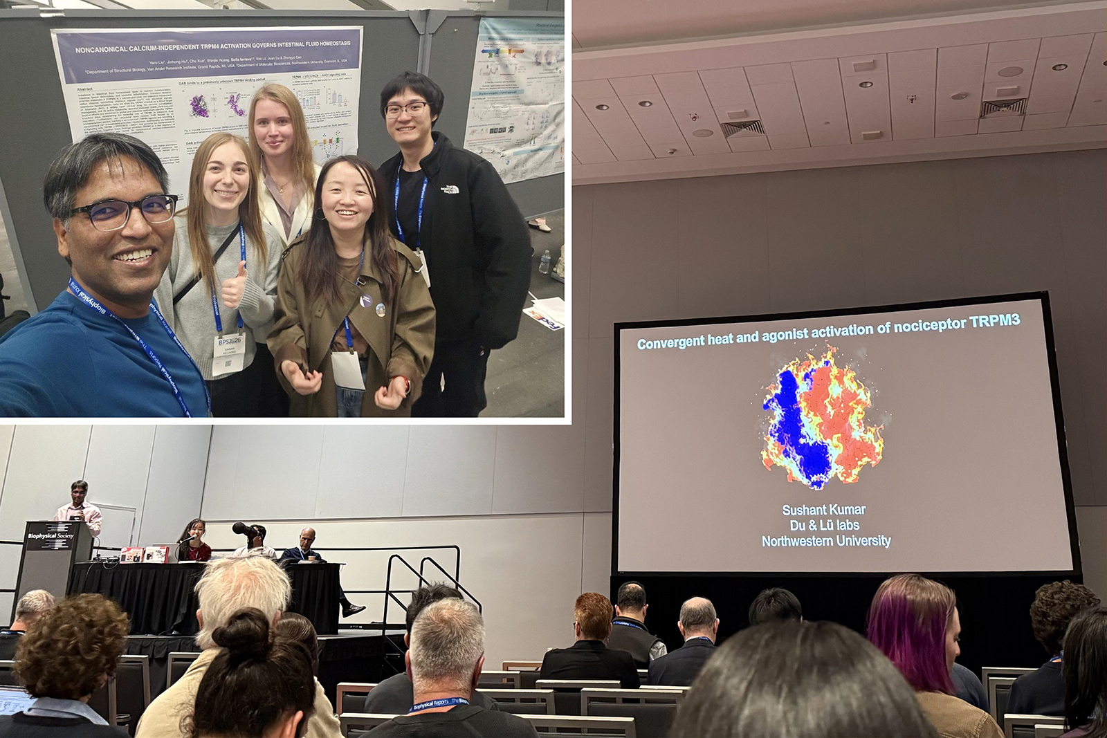 DuLuLabs at BPS in San Francisco, 2026